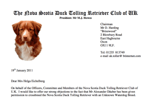 „Mr Däuber had already been in touch with us to gain our support, which we had refused as there is no firm evidence whatsoever to back up his reasoning for wanting to crossbreed and we feel it could possibly introduce far more problems into the breed and would change the Toller as we know it FOREVER, this is certainly not the way forward."