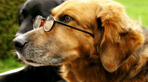 Screenshot 2015-05-19 10.56.41