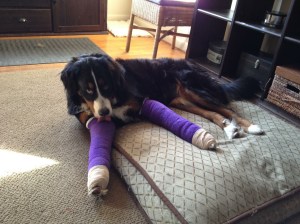 Foto 08.06.15 14 02 23